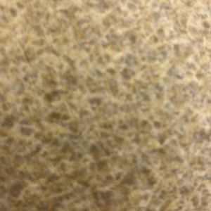 Meet your Posher, Dylon